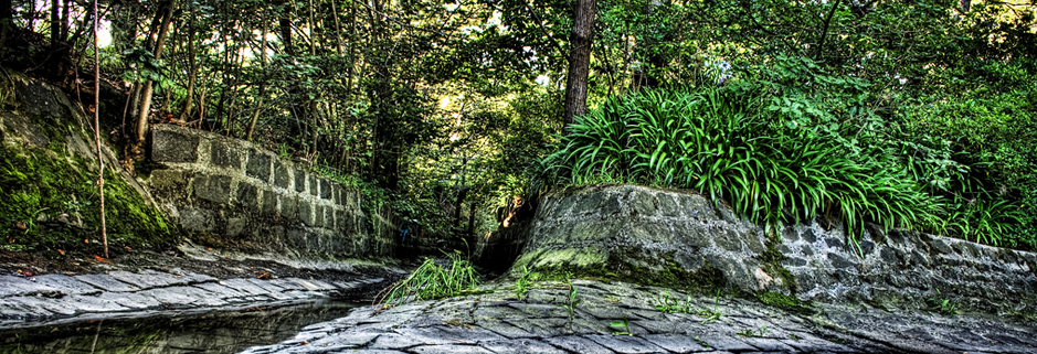 攻击网站服务器